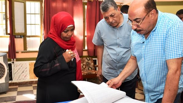 محافظ أسوان