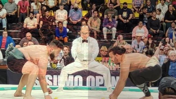 اللاعب معتز القطب