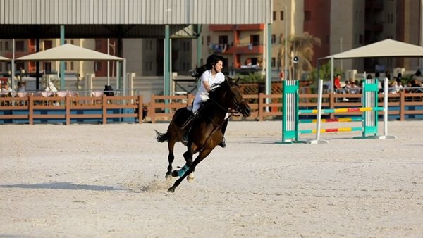 منافسات الفروسية