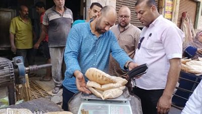 تحرير 14 محضرًا خلال حملة على مخابز دسوق بكفر الشيخ| صور 
