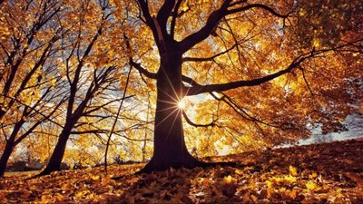 أول أيام فصل الخريف.. الأرصاد تكشف حالة الطقس غدًا الجمعة