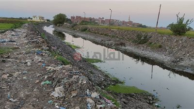 العثور على جثة سيدة في ترعة قرية ميت يزيد بالغربية 