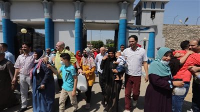  لجنة العفو الرئاسي تتدخل لإعادة مفرج عنه لعمله مرة أخرى في وزارة الكهرباء 