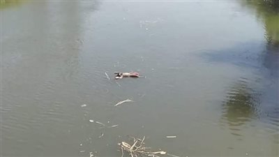 مصرع طفل غرقا في مياه النيل بأسوان