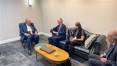 خلال لقائه المبعوث الأممي.. شكري يؤكد أهمية الحل السياسي في سوريا 