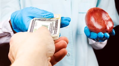 مقابل مليون دولار.. محتالون هنديون يقدمون إعلانات لبيع الكلى على الإنترنت 