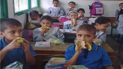 تحرك برلماني بسبب تعثر تعميم مشروع التغذية المدرسية في مصر