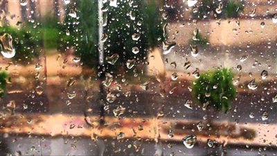 الأرصاد: توقعات بسقوط أمطار خفيفة ونشاط للرياح غدًا الأحد | بث مباشر