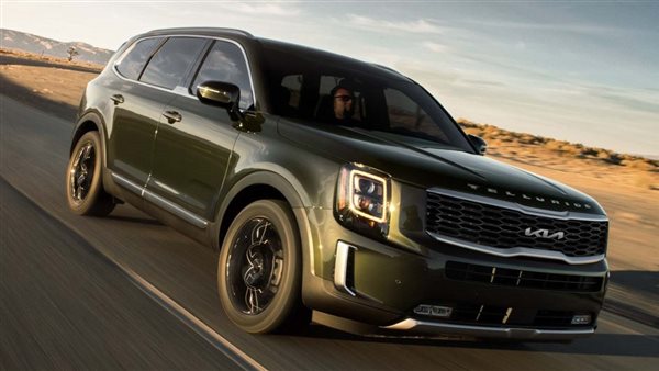 كيا تيلورايد في الإمارات