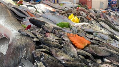 السردين يصل لـ 30 جنيهًا.. أسعار الأسماك اليوم الجمعة 2 ديسمبر 2022