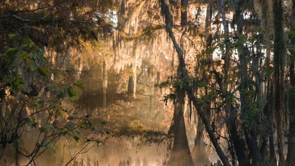 اكتشاف مخلوقات تصل