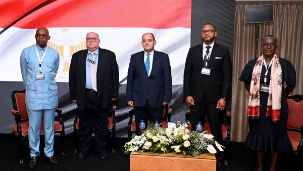 المهندس أحمد سمير