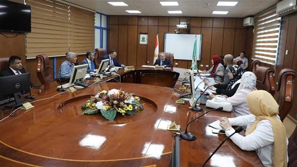 محافظ المنيا