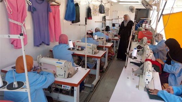 القوى العاملة بدمياط