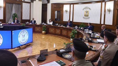 مدبولي يتابع إجراءات إعادة هيكلة شركات تابعة لجهاز الخدمة الوطنية استعدادًا للطرح في البورصة