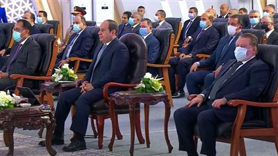 السيسي: أجور العمالة المصرية ليست كثيرة