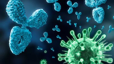 علماء يحاولون تحويل العلاج بالأجسام المضادة لتخفيف آلام الأمراض المزمنة