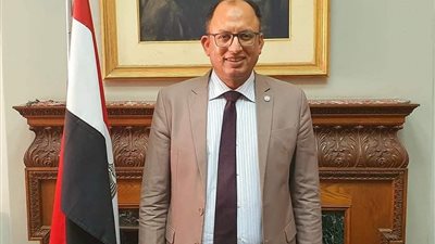 29 عاما خبرة في العمل الأكاديمي.. من هو السيد قنديل رئيس جامعة حلوان الجديد؟ 