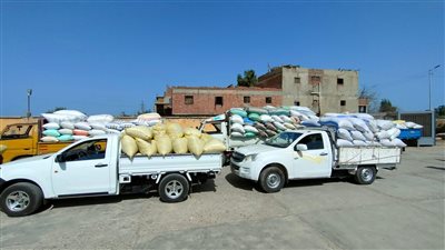 ضبط 15 طن أرز شعير داخل مضرب دون تصريح في البحيرة