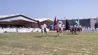 في دورته الـ26.. انطلاق مهرجان الشرقية للخيول العربية بـ بلبيس| بث مباشر 