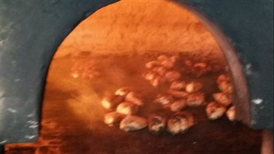 السيطرة علي حريق فرن شوي أسماك ببورسعيد