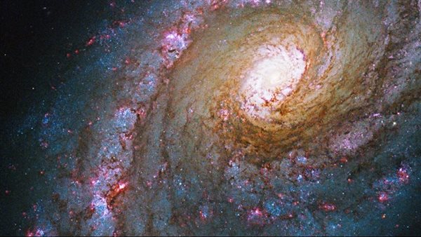 اكتشاف وجود دروعًا