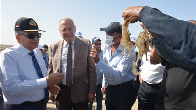 رئيس قناة السويس يتابع حصاد الأحواض المستزرعة.. وحصاد 42 طن جمبري 