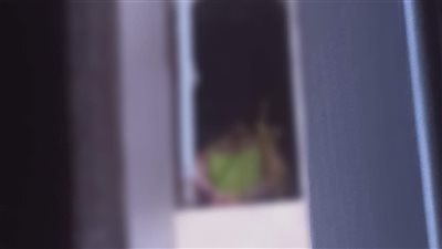 بتضرب أخوها الصغير.. ننشر اعترافات الأم المتهمة بتقييد طفلتها بالحبال في المقطم | صور