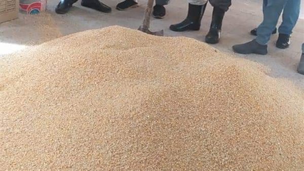 انطلاق الحملة القومية