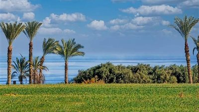 بث مباشر | نشاط للرياح.. الأرصاد تكشف حالة الطقس بدءا من اليوم وحتى الخميس المقبل