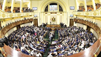 نقل البرلمان: النزول بسن استخراج بطاقة الرقم القومي يغلق باب الثغرات الناتجة عن عدم التكامل التشريعي