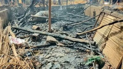 نفوق رأس ماشية في حريق حظيرة بالمنوفية