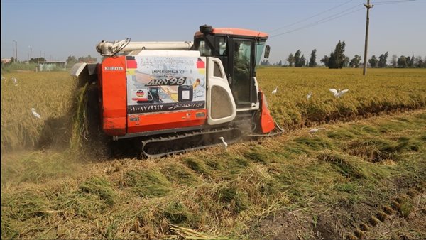 محافظ كفر الشيخ يشهد