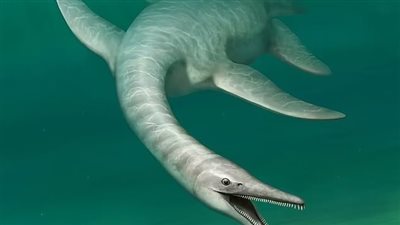 اكتشاف هيكل عظمي لحيوان بحري غريب عاش قبل 70 مليون سنة 