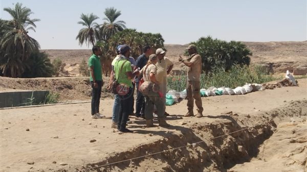 أعمال البعثة السويدية