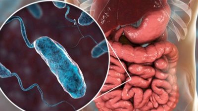 الصين تتبرع بأكثر من 500 ألف دولار لمساعدة زامبيا في مكافحة الكوليرا