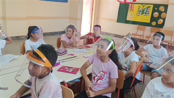 المدارس المصرية اليابانية