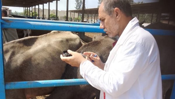 تحصين الحيوانات ضد