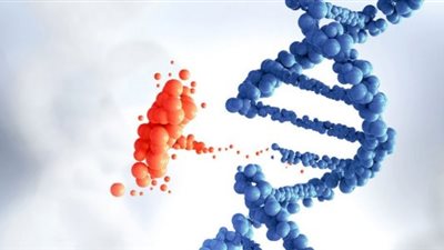 شركة كالفيستا تنهي دراستها حول علاج الأمراض الوراثية بسبب ظهور مخاطر صحية