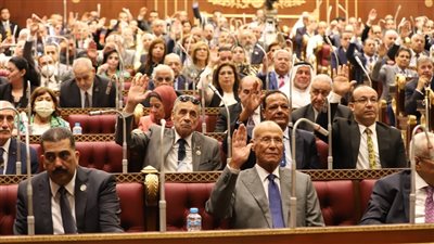 عضو بالشيوخ: ملف المحليات يواجه العديد من المعوقات في ظل غياب المجالس المحلية