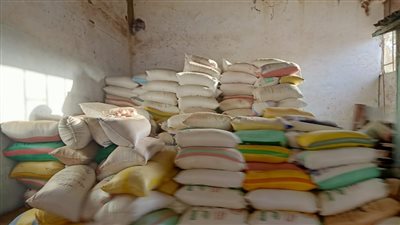 ضبط 247 طن أرز شعير و50 طن أرز أبيض في حملة مكبرة بكفر الشيخ