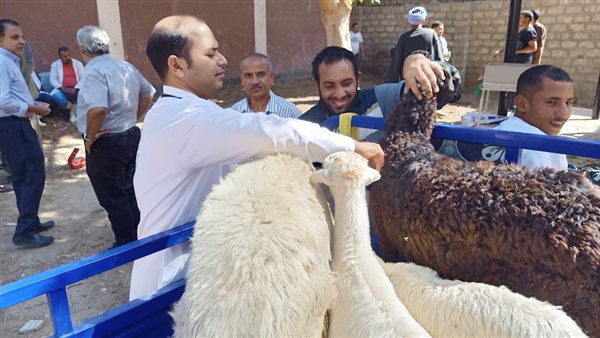 تحصين المواشي