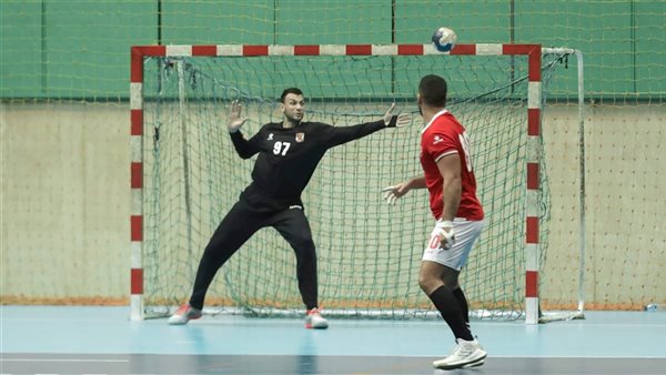 محمد إبراهيم حارس