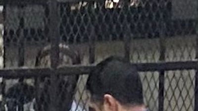 تزوير شهادة طفل وعلاقة آثمة.. تفاصيل جلسة محاكمة المتهم بقتل زوجته في النزهة