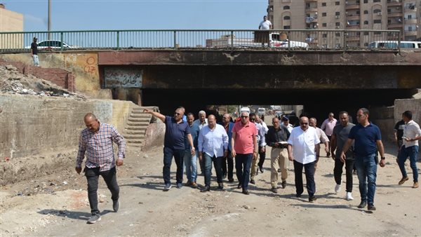 محافظ الجيزة يتفقد