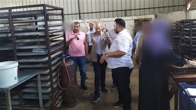 غلق 3 مصانع وإعدام 33 طن أغذية فاسدة بالشرقية | صور