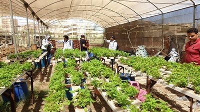 المركزي للمناخ الزراعي: الانتهاء من تغطية صوبة الأساليب الزراعية لتجهيز العروة الشتوية