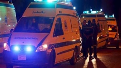 ألقوا جثتها في الرشاح.. تجديد حبس المتهمين بقتل سيدة بالقليوبية