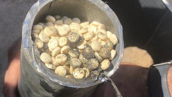 ضبط نحو مليون و800