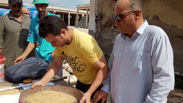 أرز شعير - صورة أرشيفية